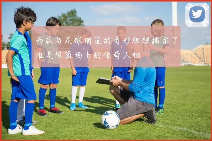 西瓜与足球明星的奇妙联想揭示了谁是绿茵场上的传奇人物