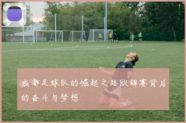 成都足球队的崛起之路欧锦赛背后的奋斗与梦想
