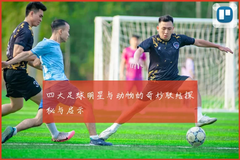 四大足球明星与动物的奇妙联结探秘与启示