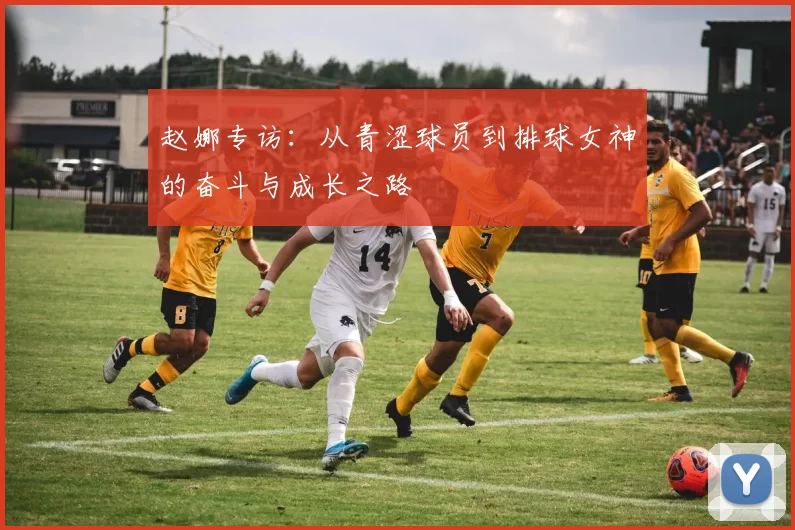 赵娜专访：从青涩球员到排球女神的奋斗与成长之路