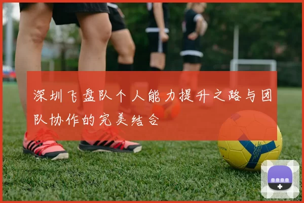 深圳飞盘队个人能力提升之路与团队协作的完美结合