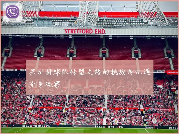 深圳排球队转型之路的挑战与机遇全景观察
