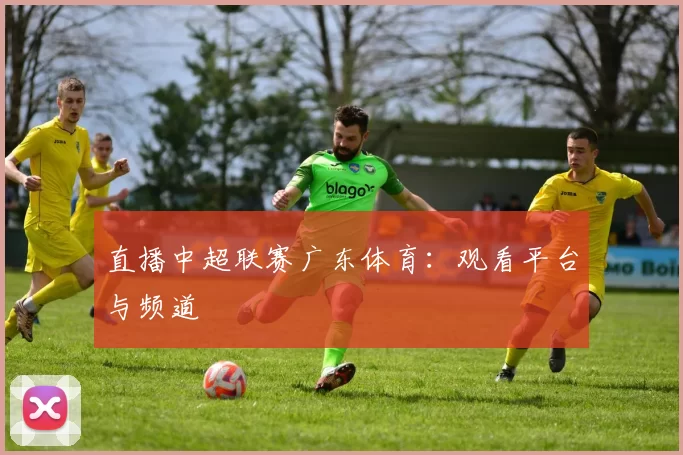 直播中超联赛广东体育：观看平台与频道