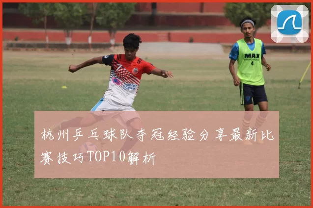 杭州乒乓球队夺冠经验分享最新比赛技巧TOP10解析