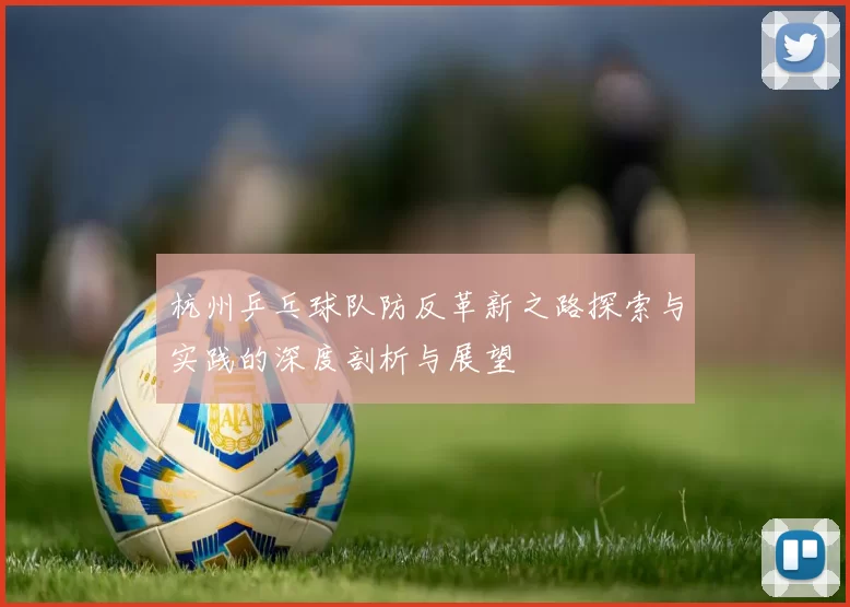 杭州乒乓球队防反革新之路探索与实践的深度剖析与展望