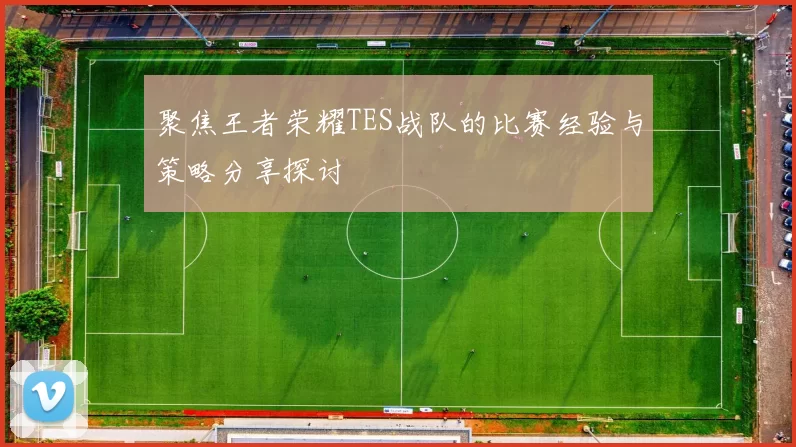 聚焦王者荣耀TES战队的比赛经验与策略分享探讨