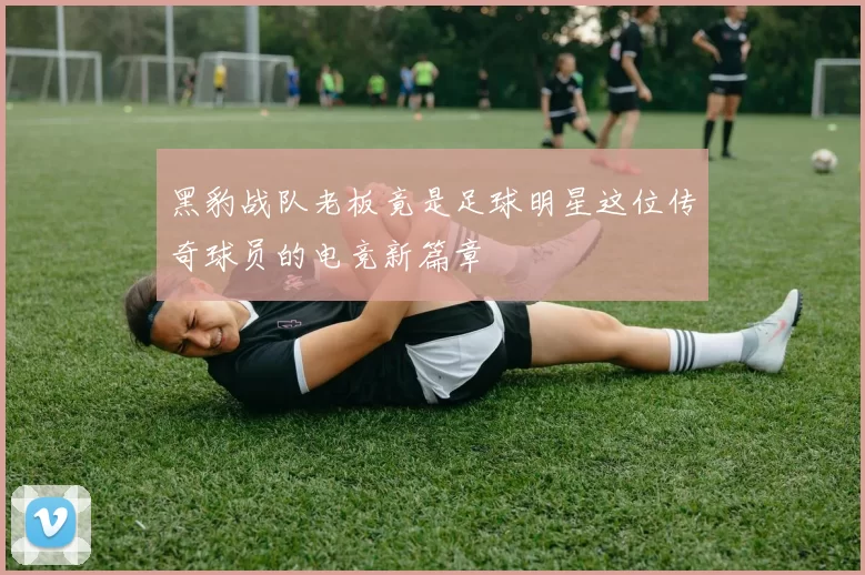 黑豹战队老板竟是足球明星这位传奇球员的电竞新篇章