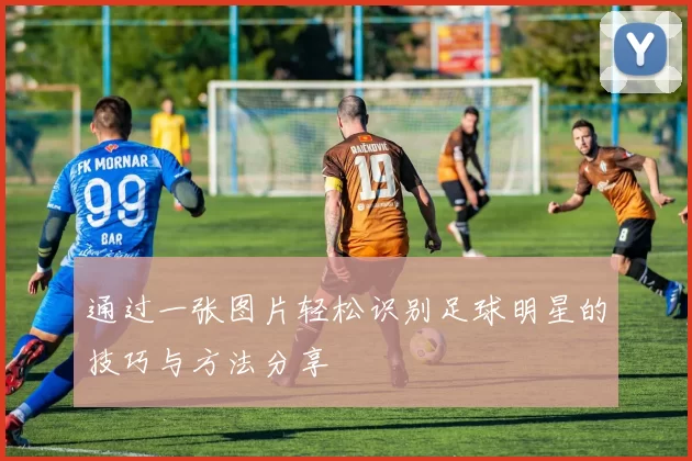 通过一张图片轻松识别足球明星的技巧与方法分享