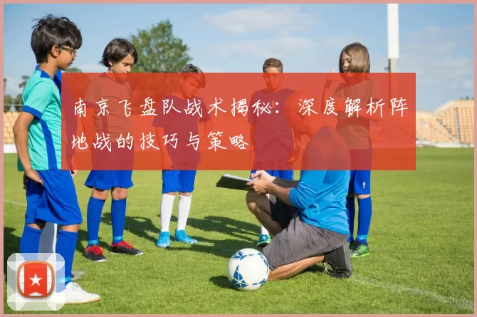 南京飞盘队战术揭秘：深度解析阵地战的技巧与策略