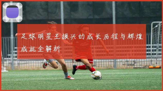 足球明星王振兴的成长历程与辉煌成就全解析