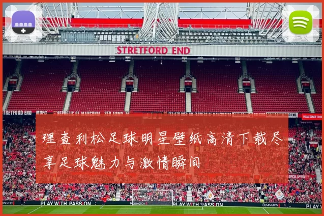 理查利松足球明星壁纸高清下载尽享足球魅力与激情瞬间