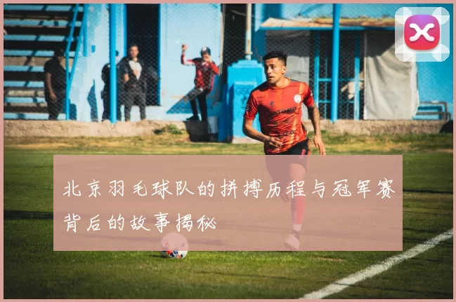 北京羽毛球队的拼搏历程与冠军赛背后的故事揭秘