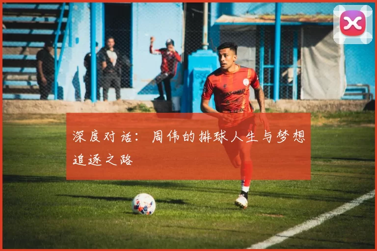 深度对话：周伟的排球人生与梦想追逐之路