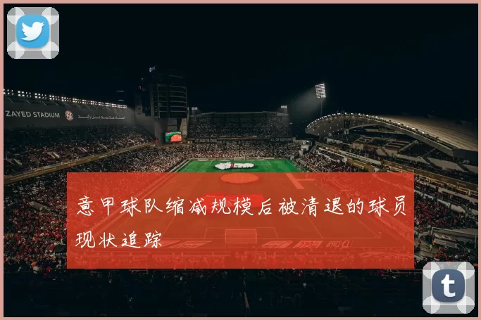 意甲球队缩减规模后被清退的球员现状追踪