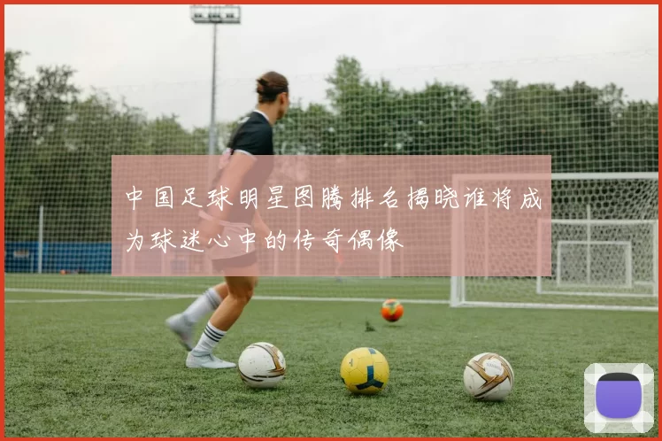 中国足球明星图腾排名揭晓谁将成为球迷心中的传奇偶像