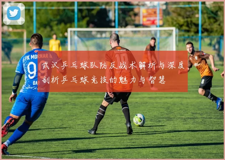 武汉乒乓球队防反战术解析与深度剖析乒乓球竞技的魅力与智慧