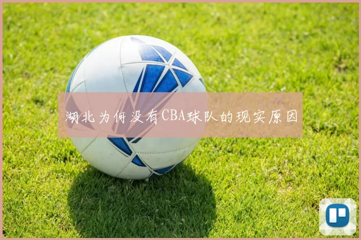 湖北为何没有CBA球队的现实原因